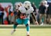 Frank Gore leads the Dolphins in carries.