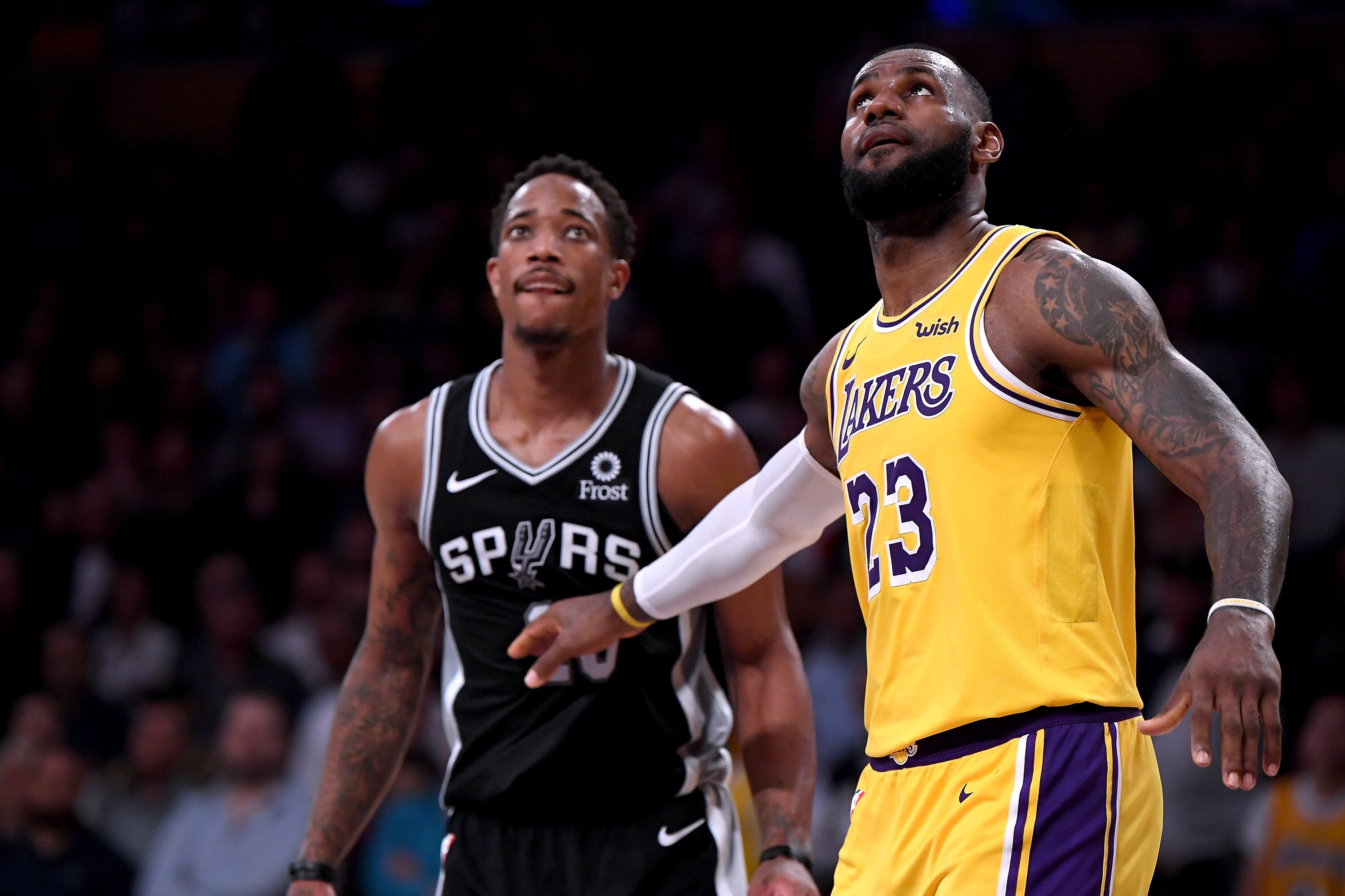 Best Player Debuts For Every Nba Team After Opening Week