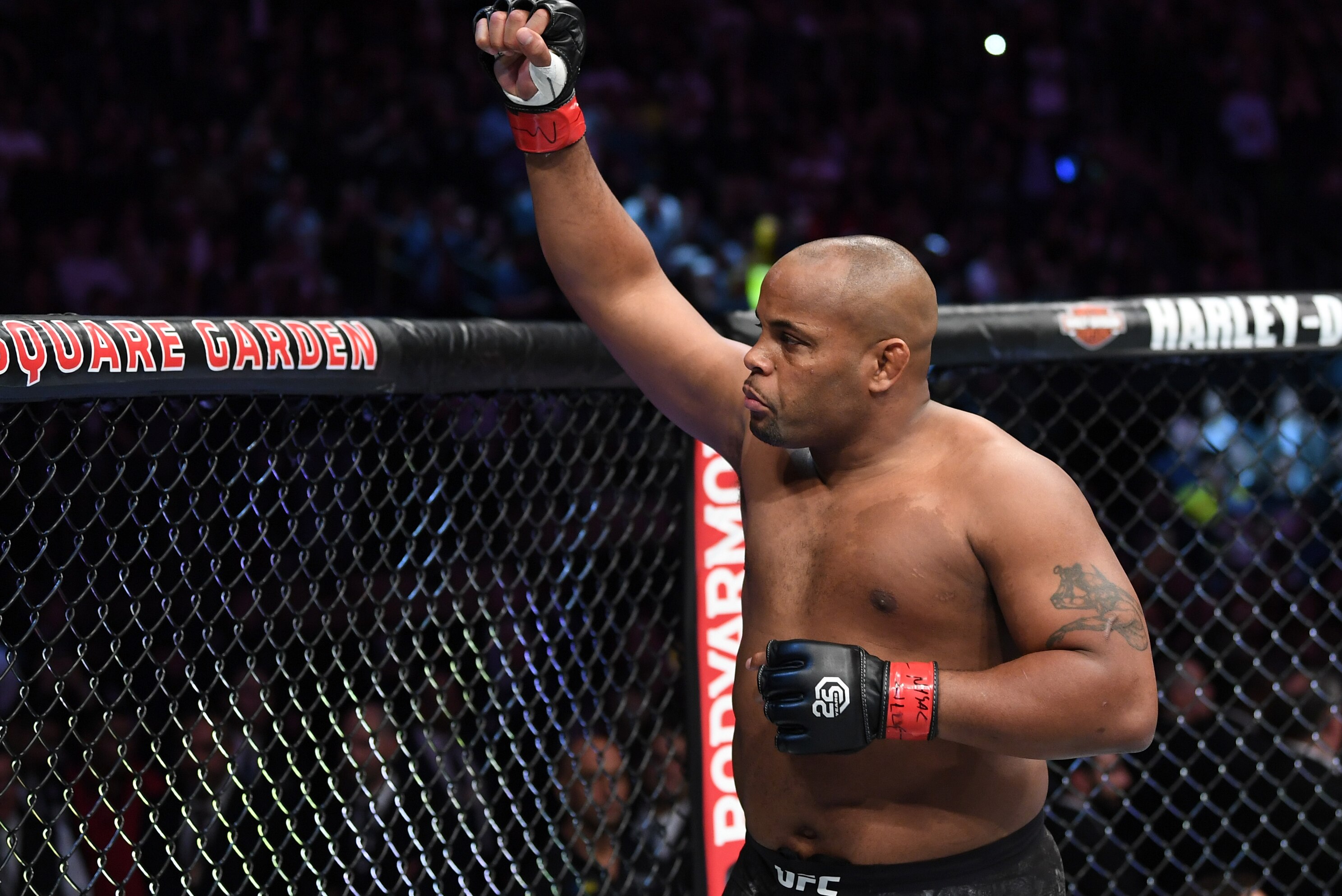 Ufc 230 Results The Real Winners And Losers Bleacher Report Latest News Videos And Highlights
