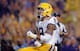 LSU S Grant Delpit