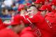 Mike Trout (C)