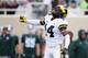 Josh Metellus