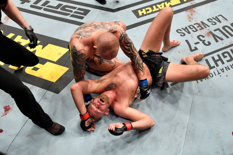 Alexander Gustafsson (bottom) and Anthony Smith