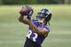 Willie Snead IV will play a big role in the Baltimore offense.