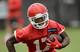 Damien Williams might have to carry the Kansas City running game.