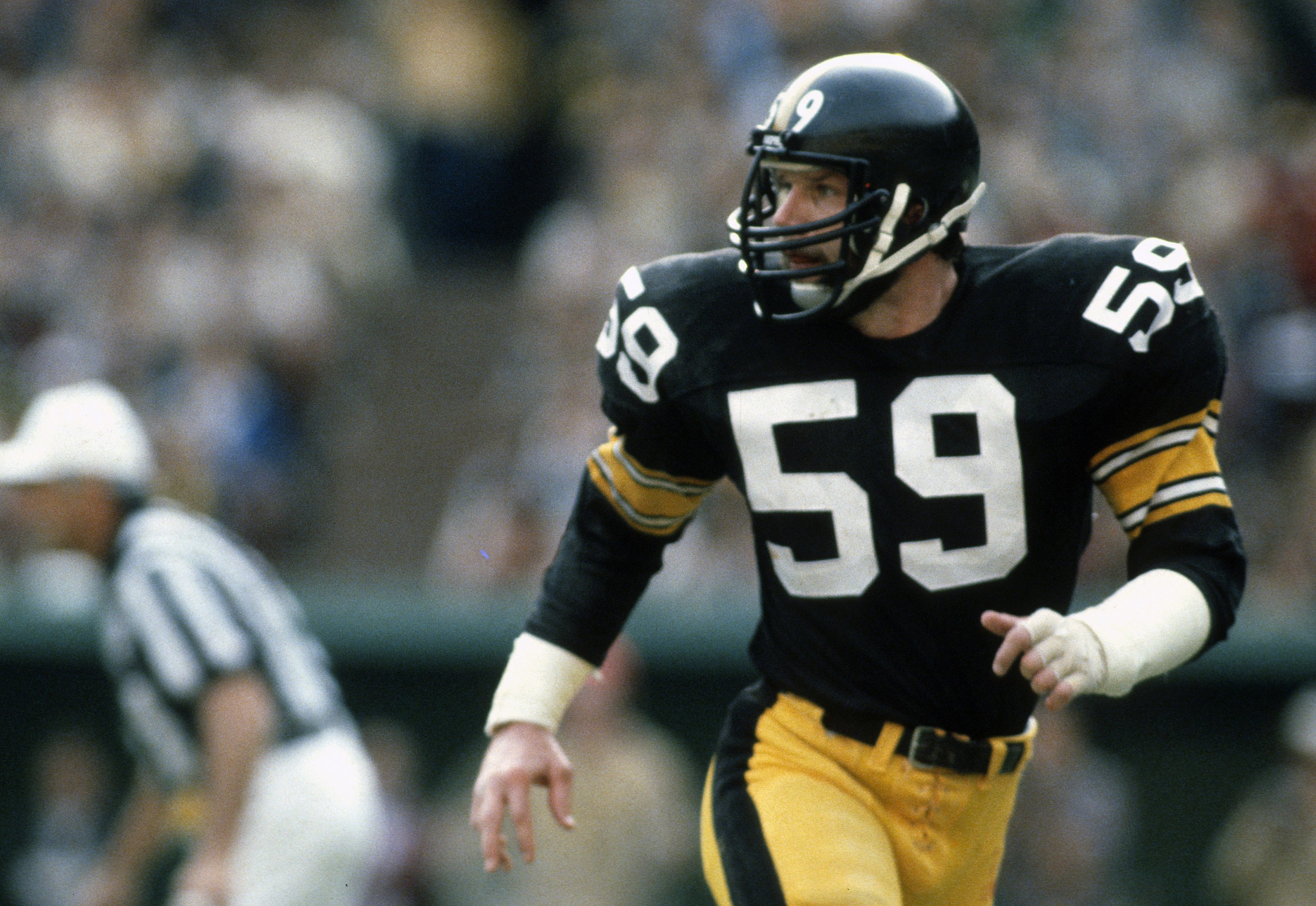 Top Ten Single Season Defenses in NFL History : #9 1975 Pittsburgh Steelers