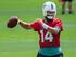 Miami Dolphins quarterback Ryan Fitzpatrick