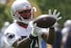 Patriots TE Benjamin Watson