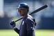 Yankees prospect Estevan Florial.