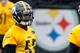 Pittsburgh Steelers linebacker Devin Bush