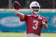 Dolphins QB Josh Rosen