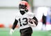 Browns WR Odell Beckham Jr.