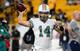 Dolphins QB Ryan Fitzpatrick