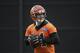 Bengals QB Andy Dalton