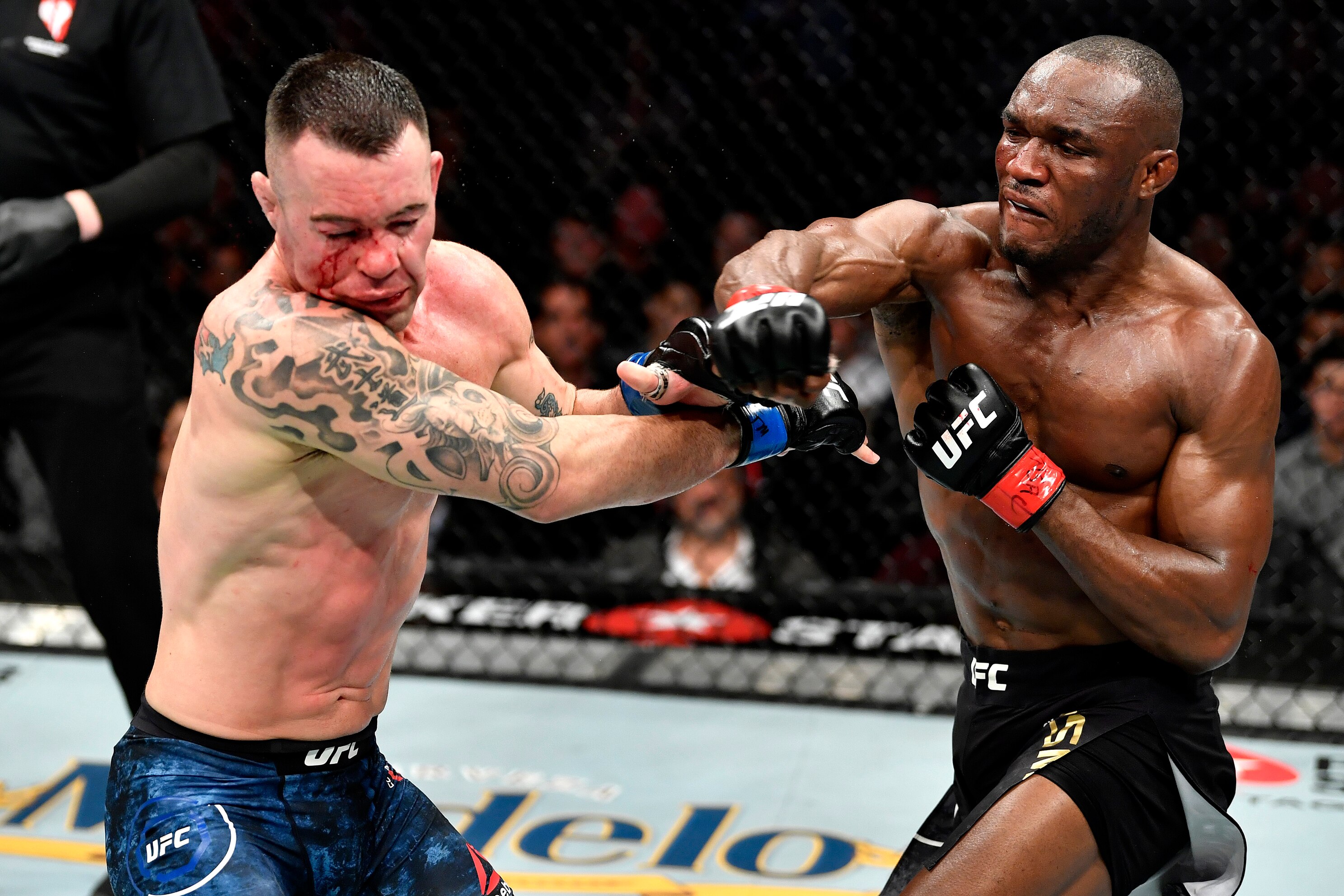 A Look At The Medical Suspensions After Ufc 245 Bleacher Report Latest News Videos And Highlights