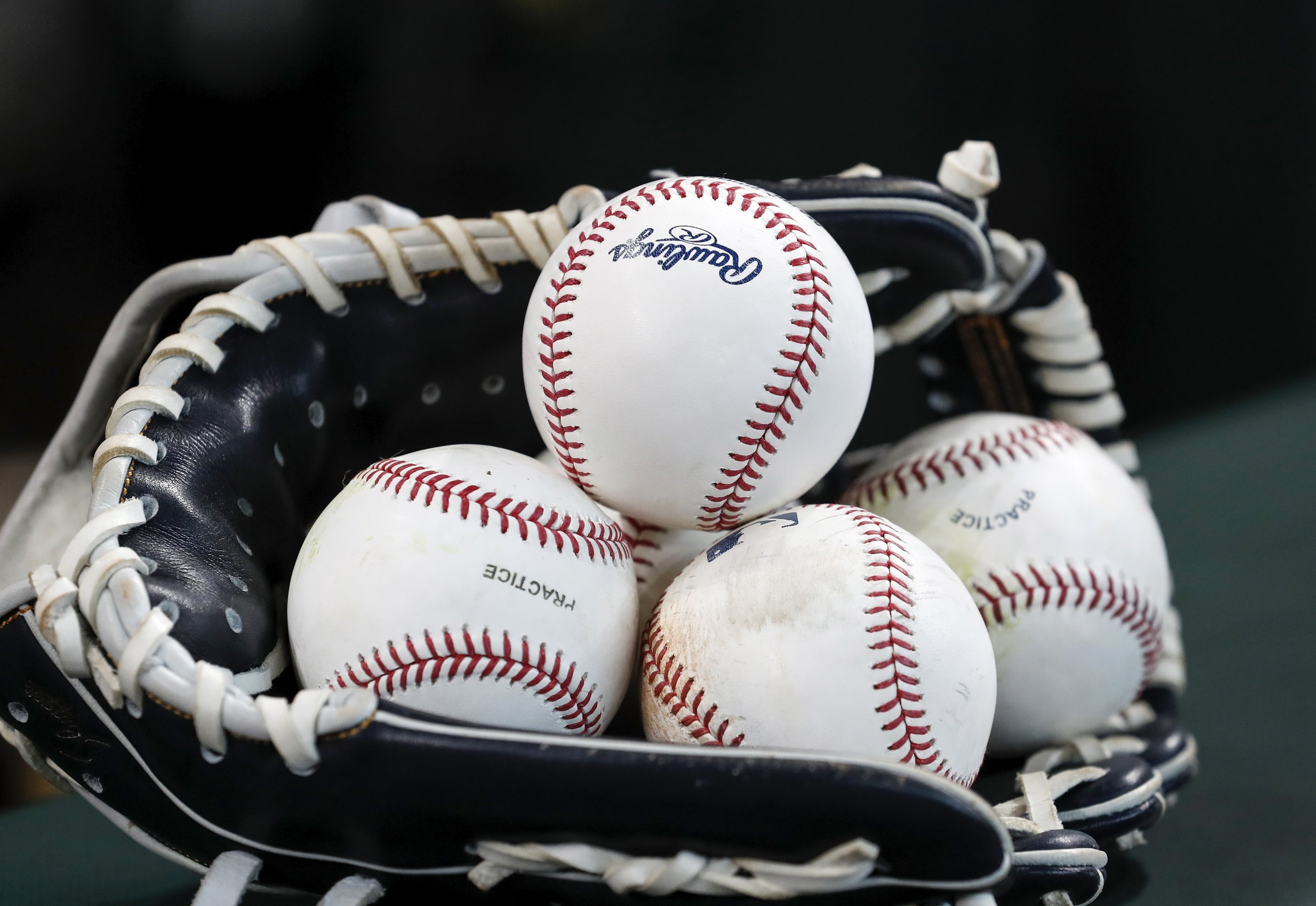 Rawlings MLB 2019 Florida Spring Training Baseballs