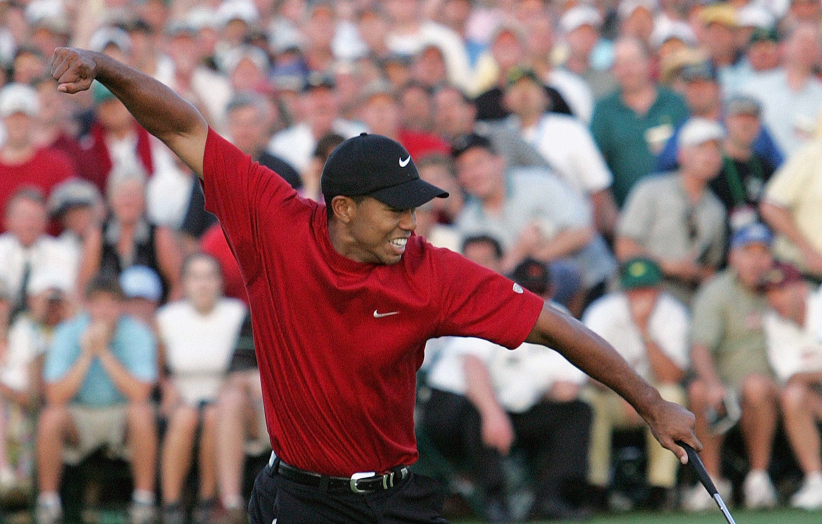 Tiger Woods Iconic