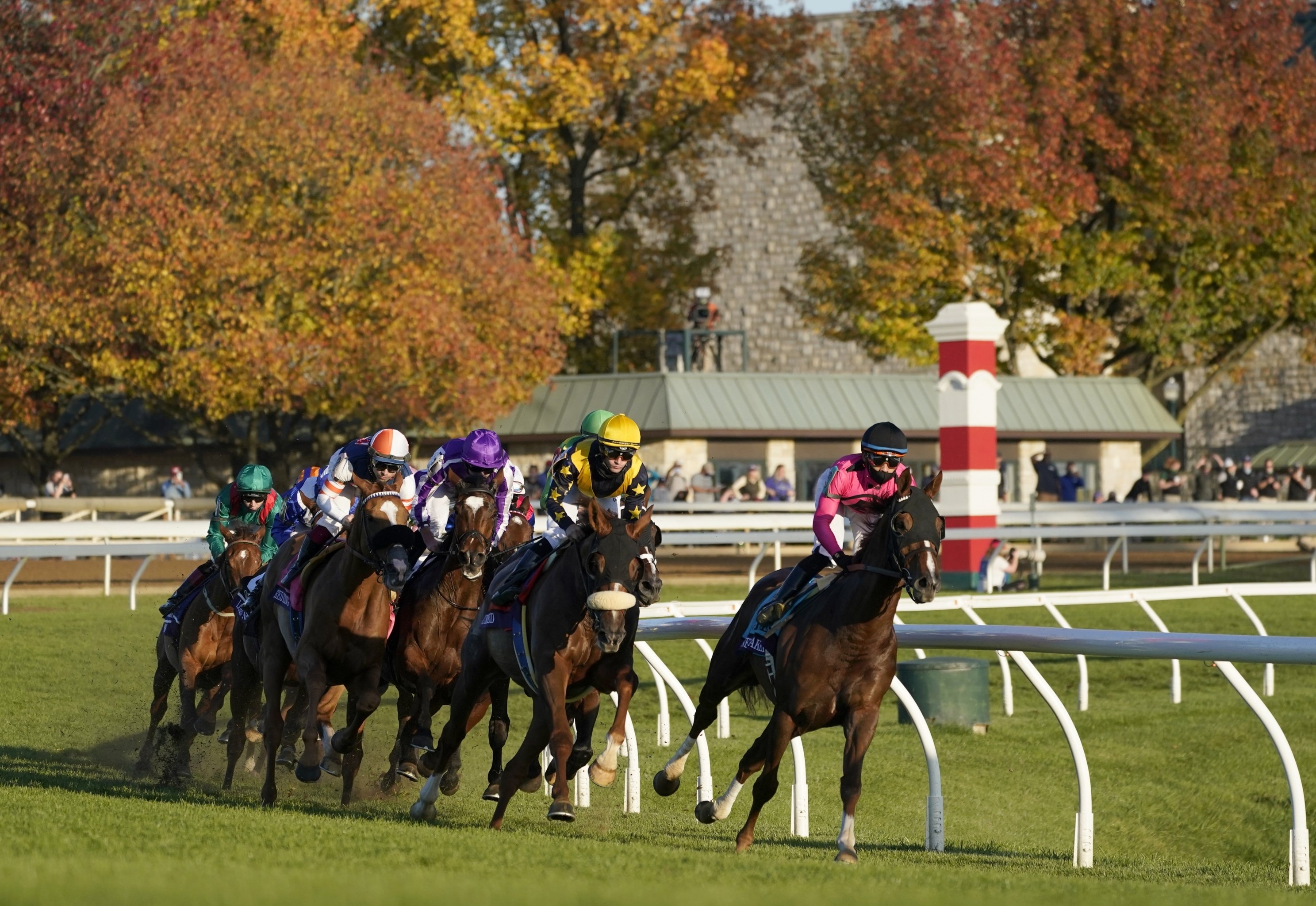 Paul Lo Duca, former catcher, finds a second career in horse racing - ESPN