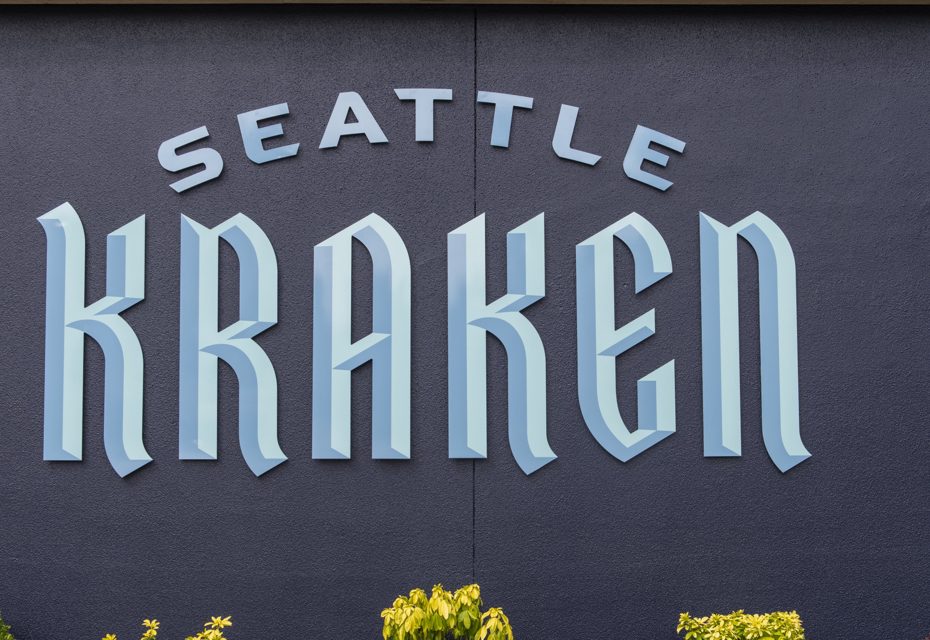 be careful boys love you — your 2021 expansion draft seattle kraken