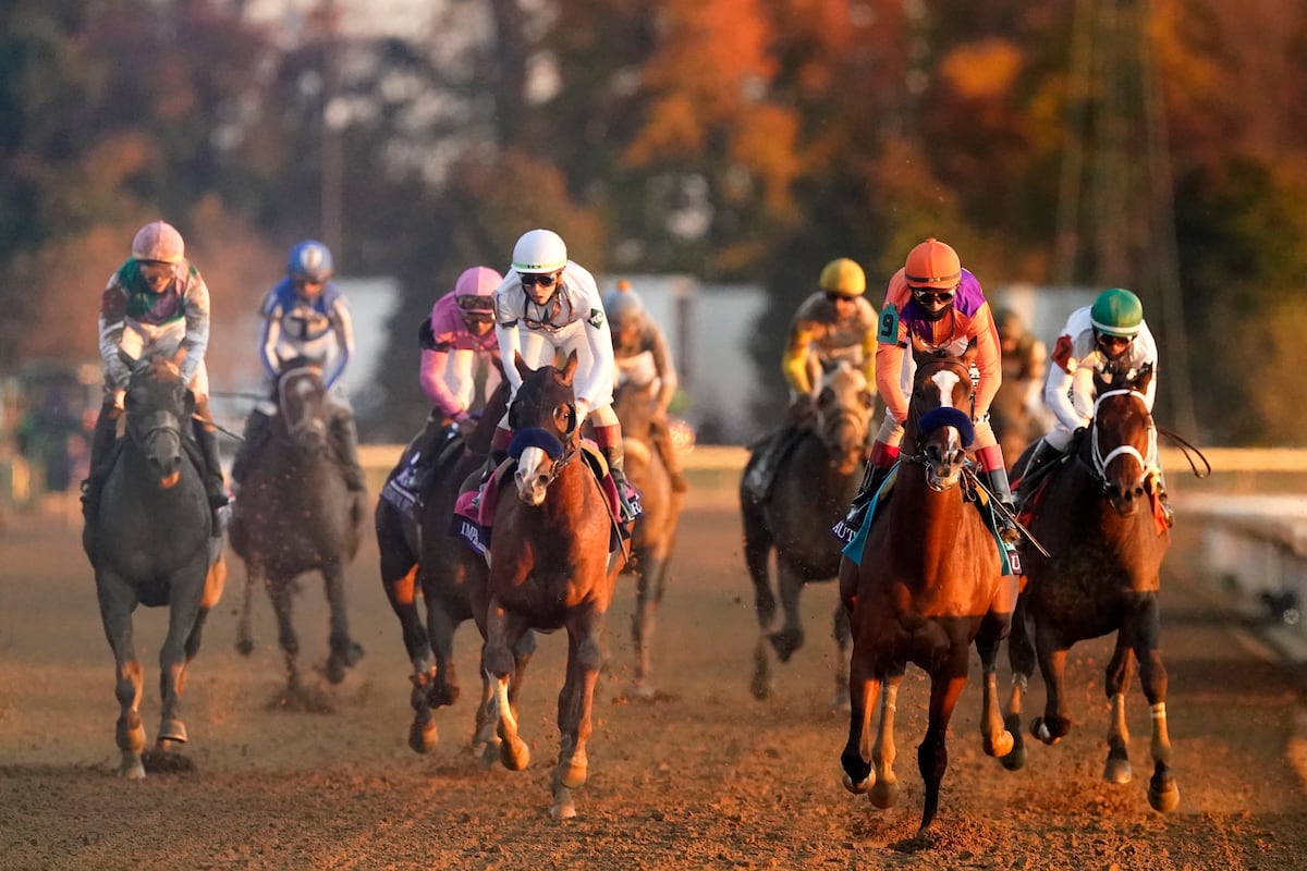 Pat Day Stakes 2021: Post Time, Odds, Predictions for Entire Field(03)