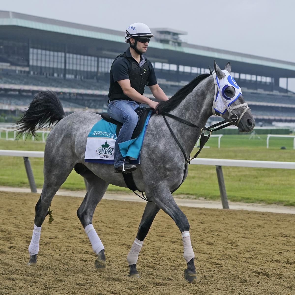 Belmont Stakes 2021 Contenders Essential Quality and More Favorites