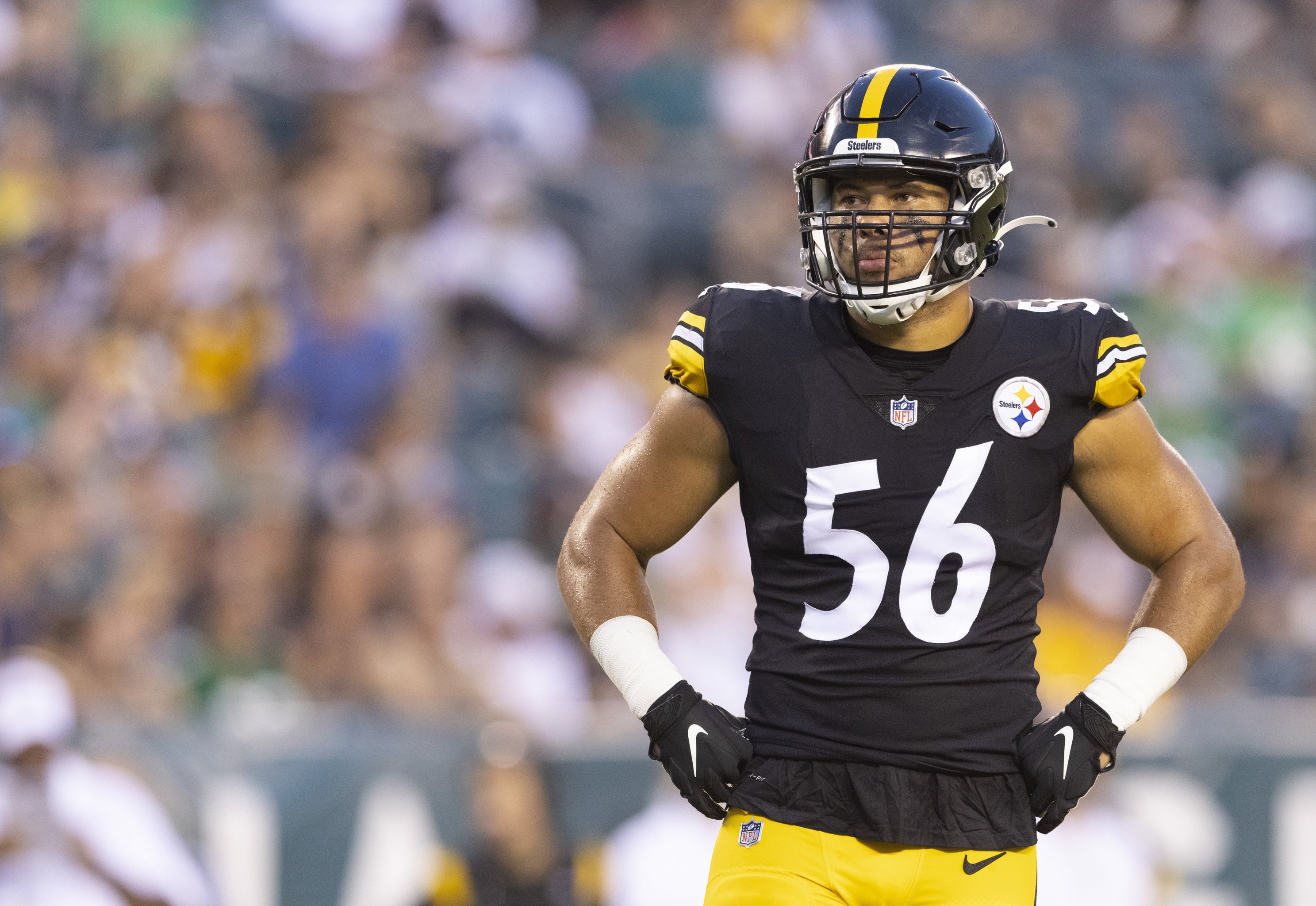 Pittsburgh Steelers: Bold predictions for preseason game vs. Lions