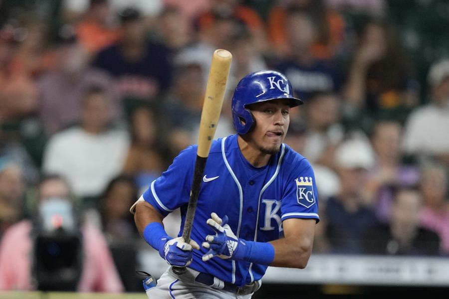 Jake Meyers is another amazing fruit of the Astros' outfield tree - The  Crawfish Boxes