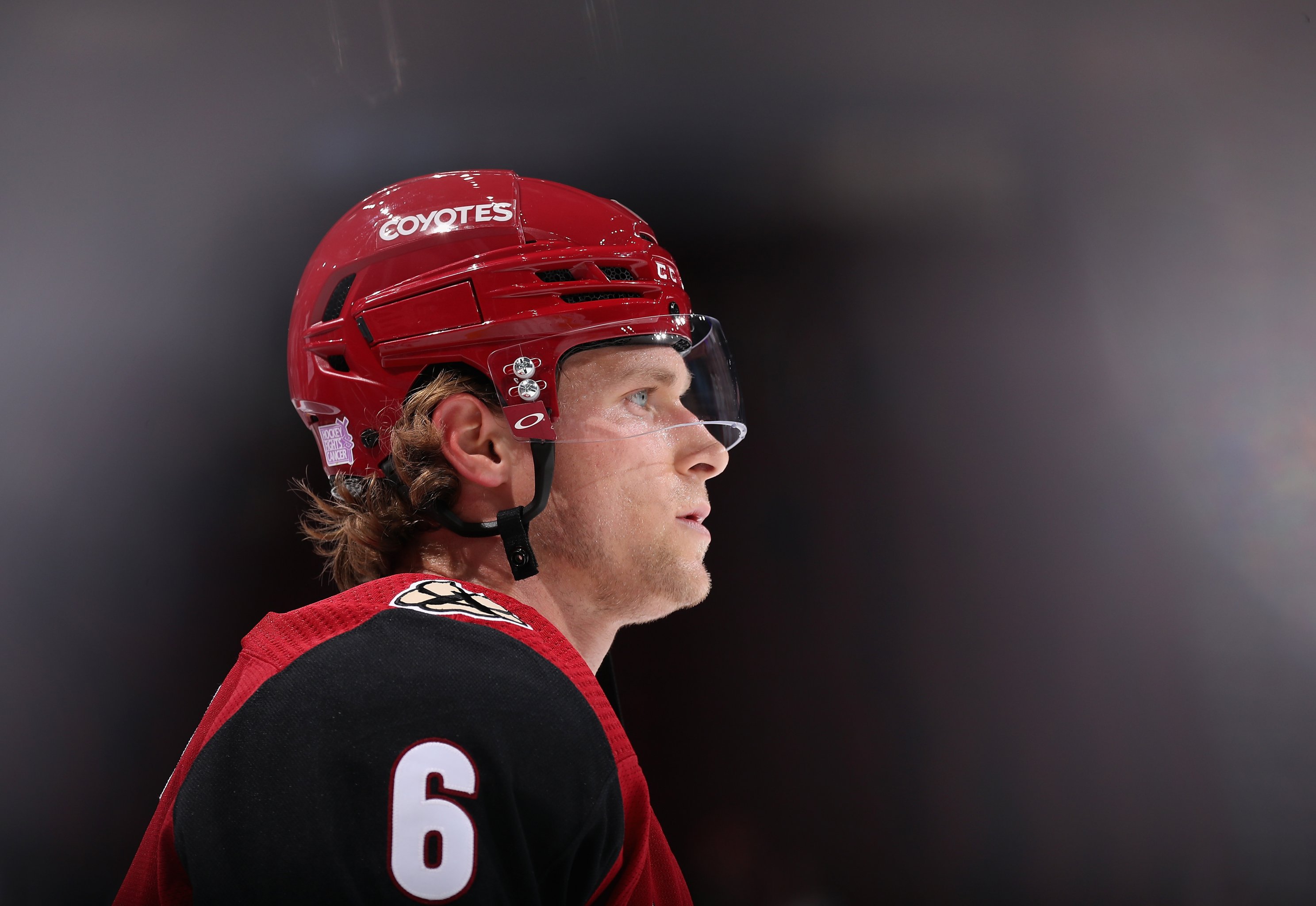 NHL Player Cards: Arizona Coyotes - The Athletic