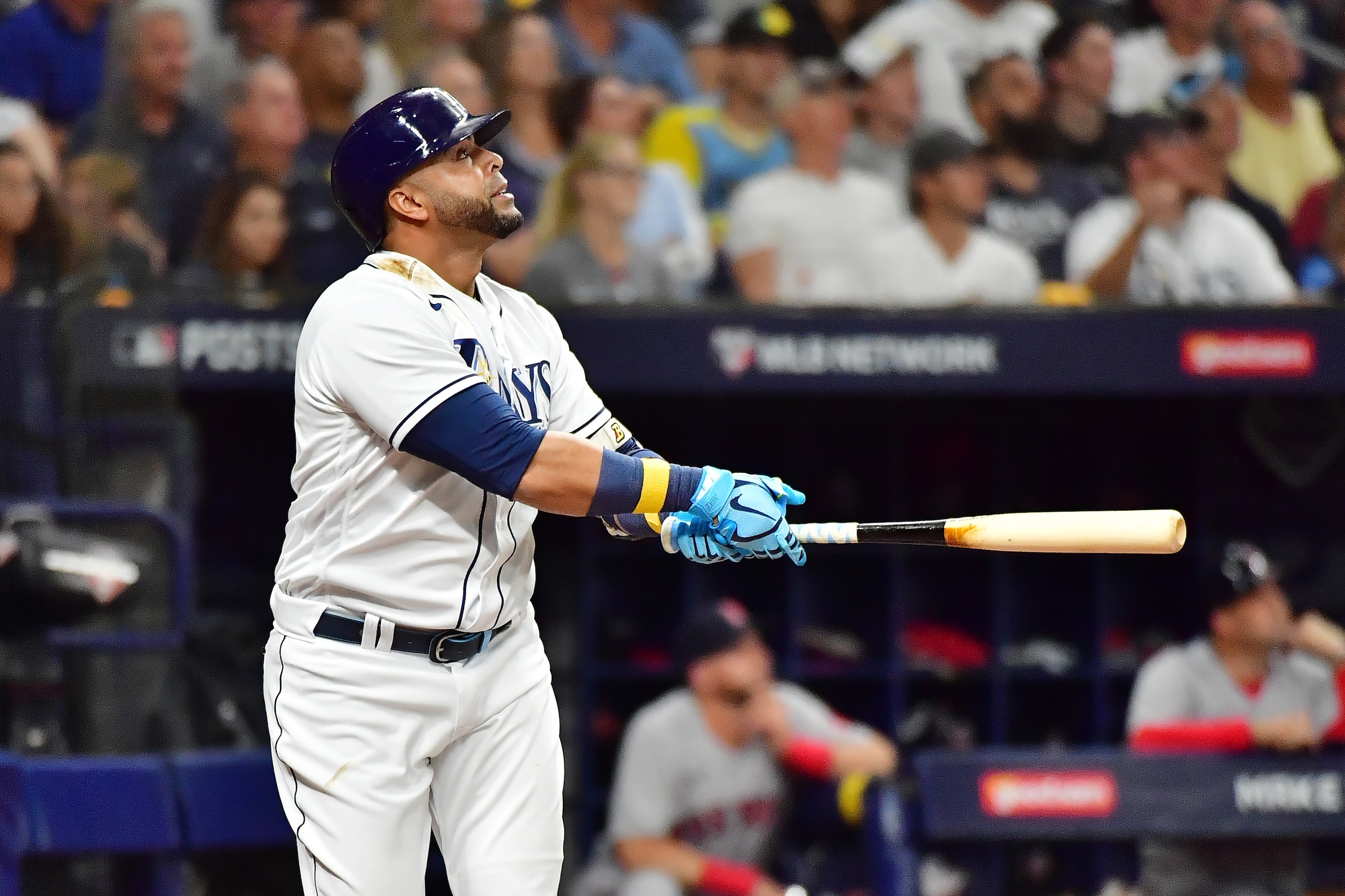Nelson Cruz