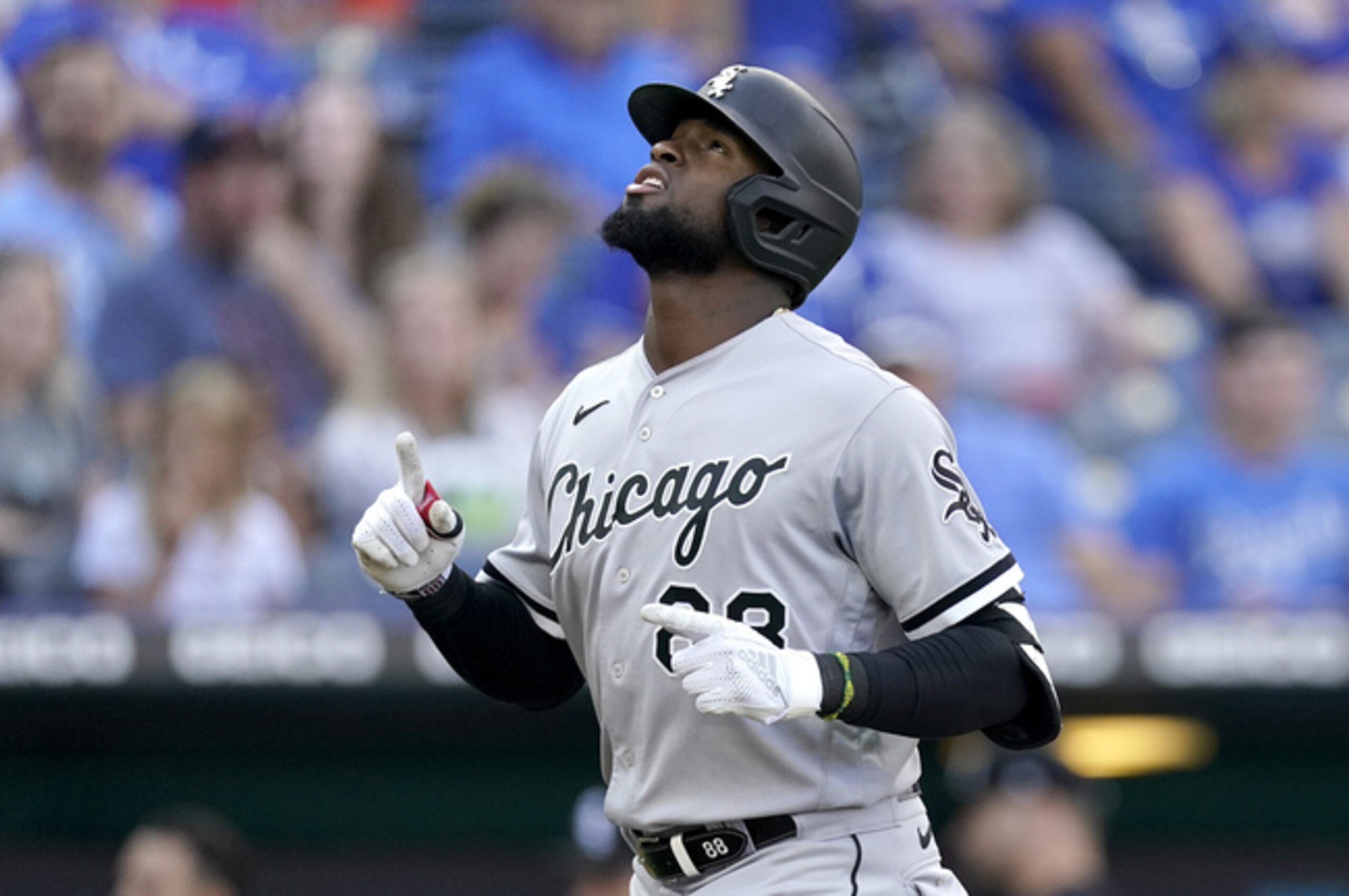Luis Robert