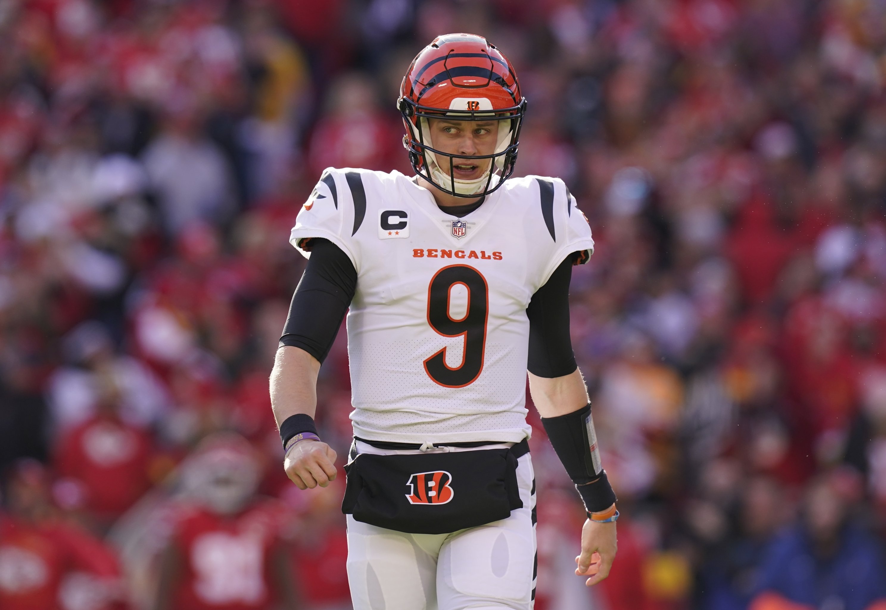 Super Bowl 2022 Preview: Who will win, Bengals or Rams? - Dawgs By Nature