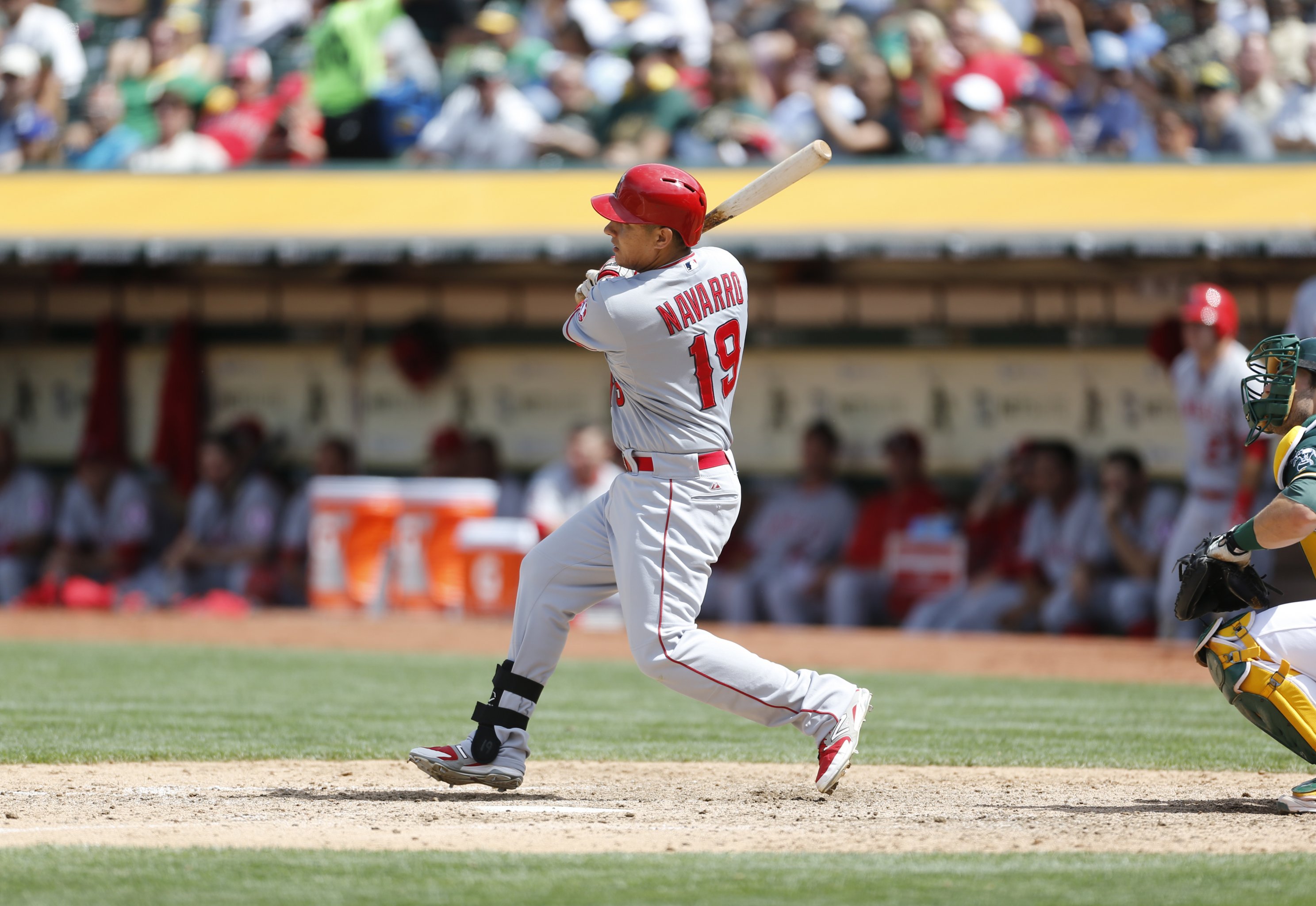 John Barney Dots Miller, St. Louis Cardinals baseball player