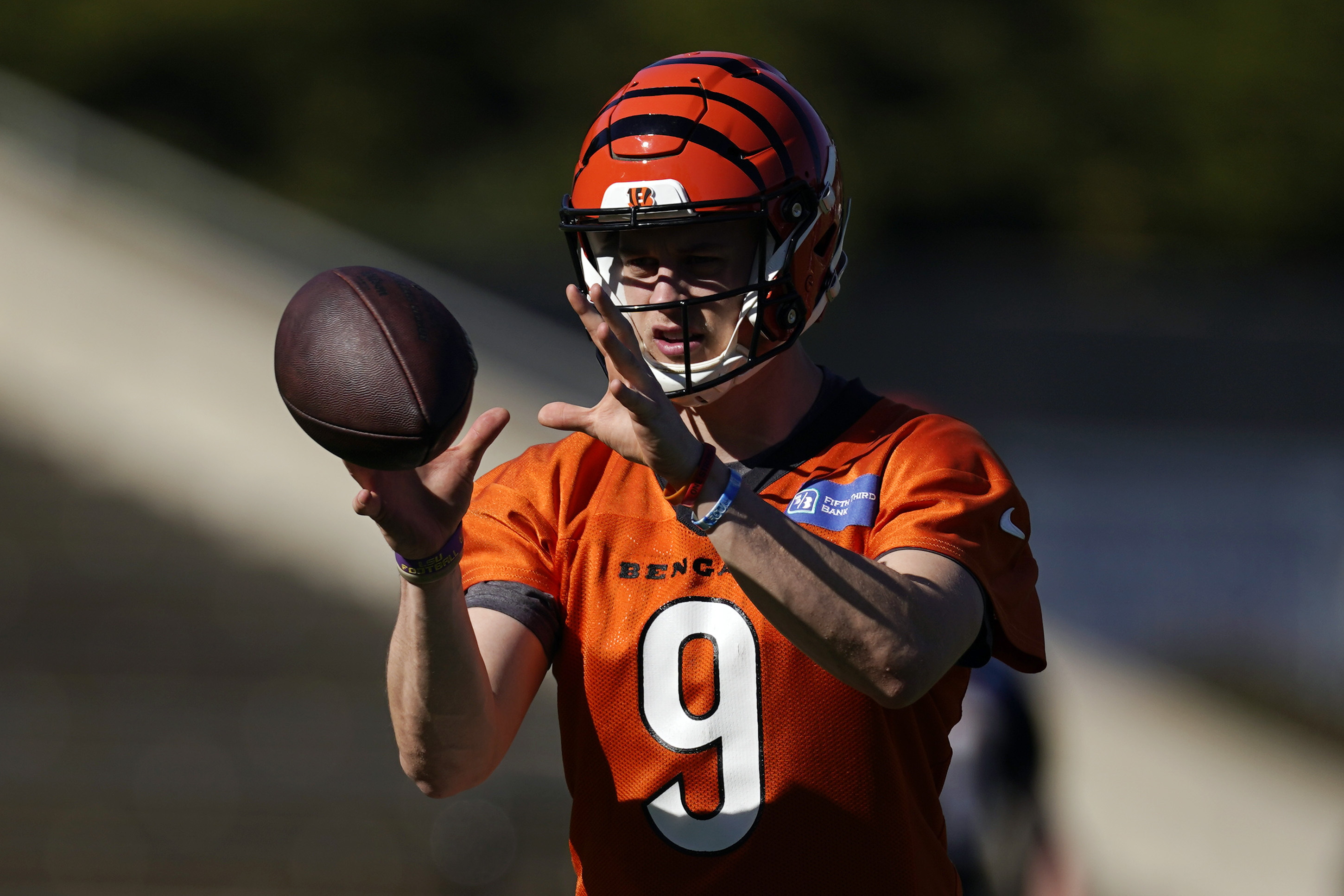 Super Bowl predictions 2022: Who's winning Rams vs. Bengals on Sunday - Cat  Scratch Reader